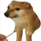 user icon