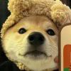 user icon