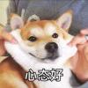 user icon