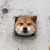 user icon
