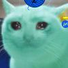 user icon