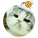 user icon