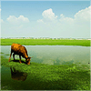 user icon