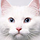 user icon
